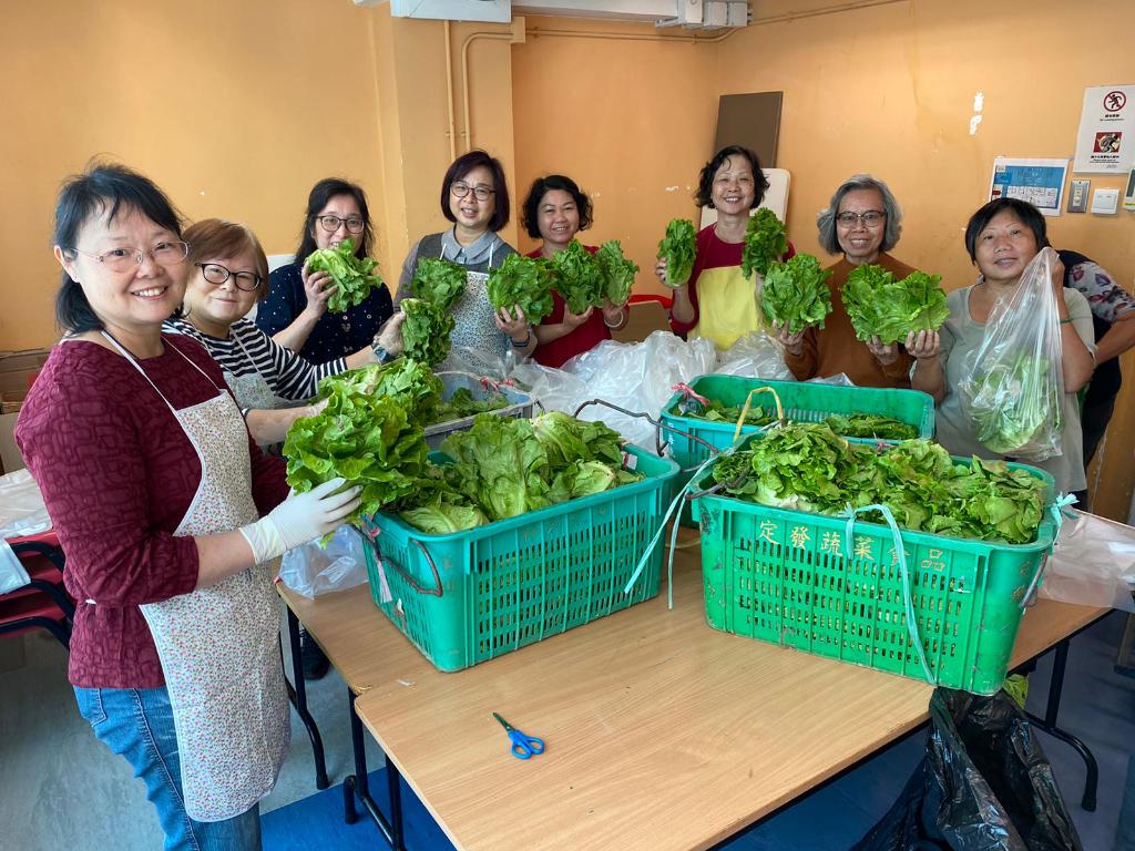 「耆樂綠融融」有機農場耕種及蔬菜捐贈