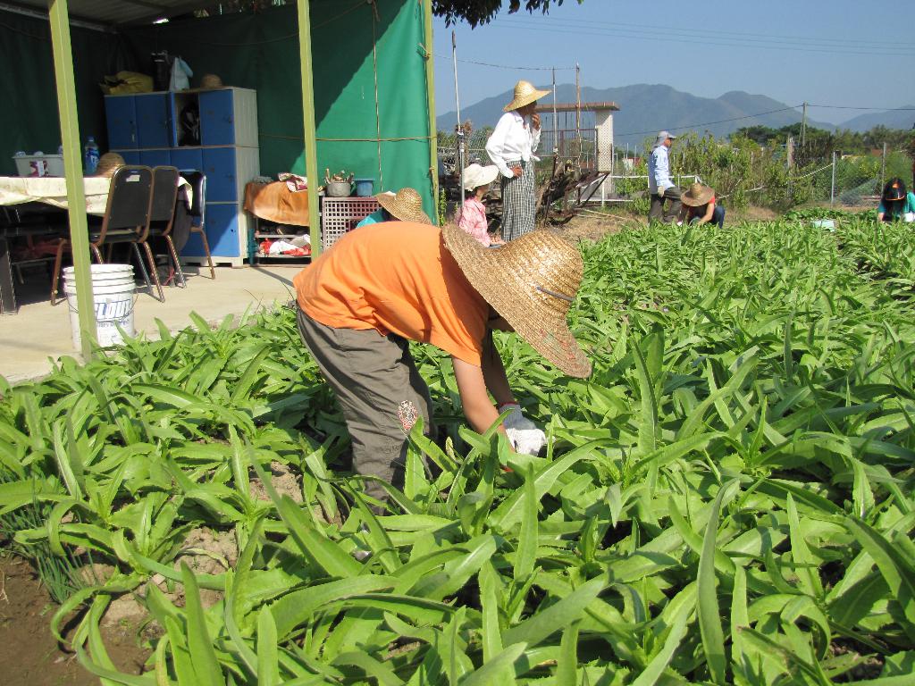 同行之友愛鄰社(一) 2014年10月