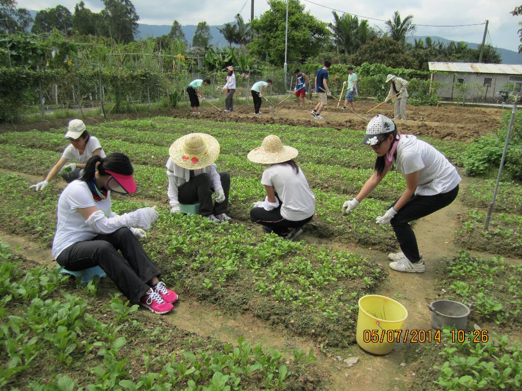 同行之友愛鄰社 2014年7月