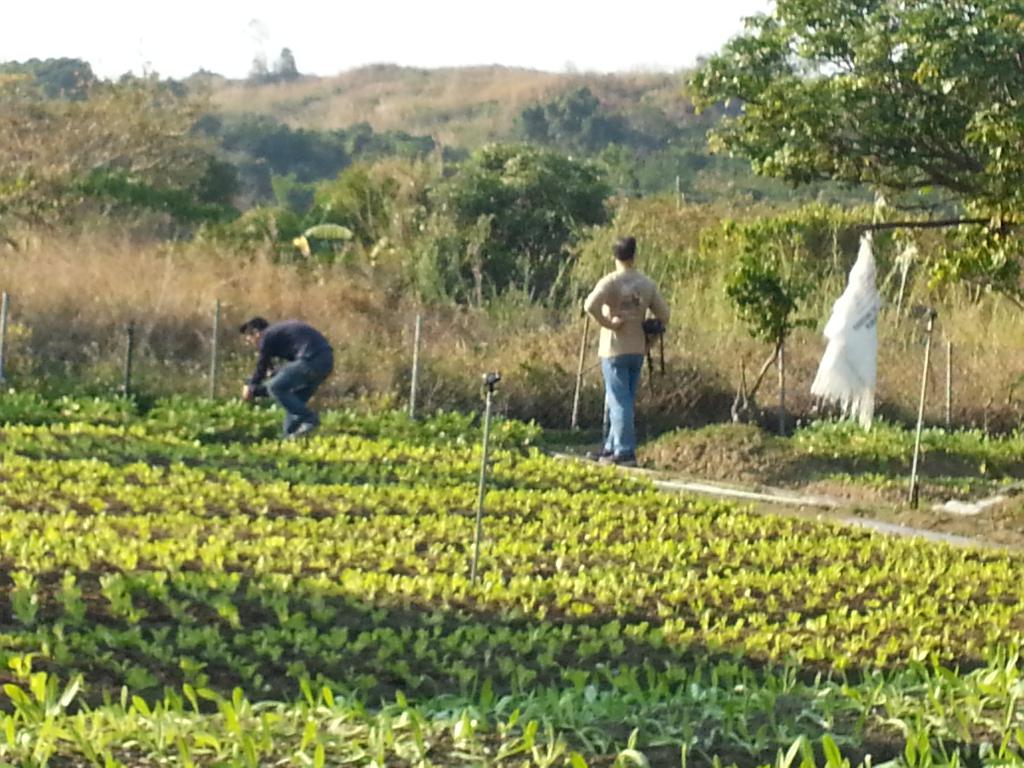 RoadShow 16度倒數訪問 2014年1月