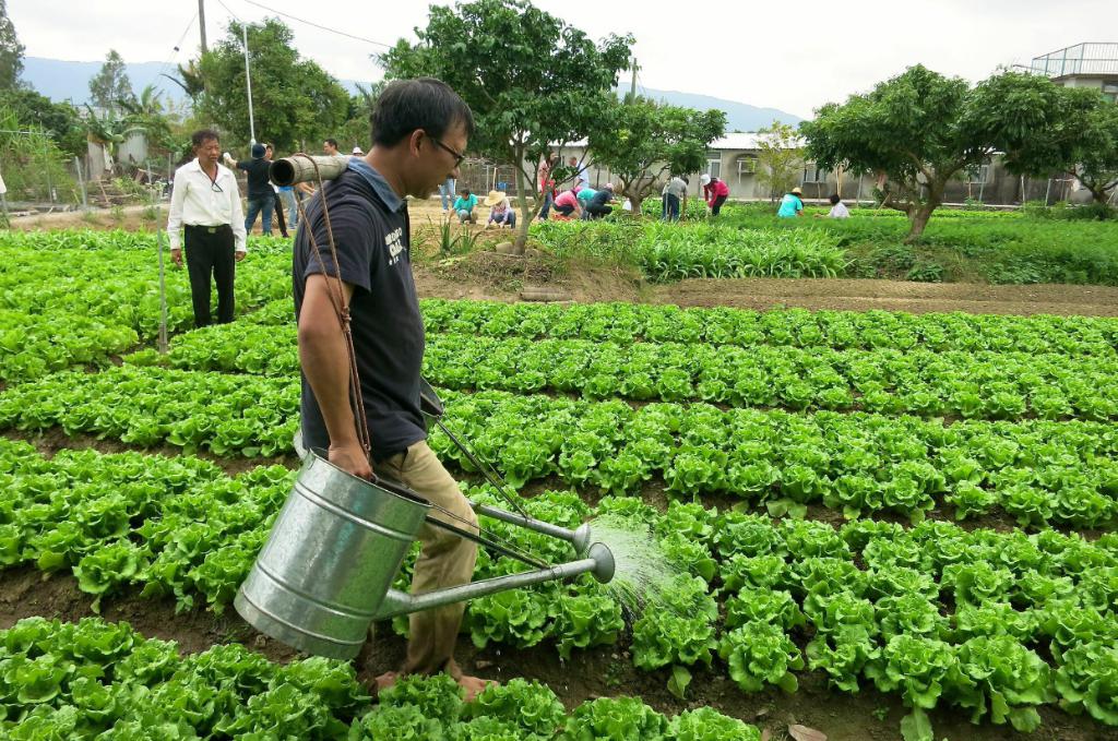 同行之友愛鄰社 2014年11月