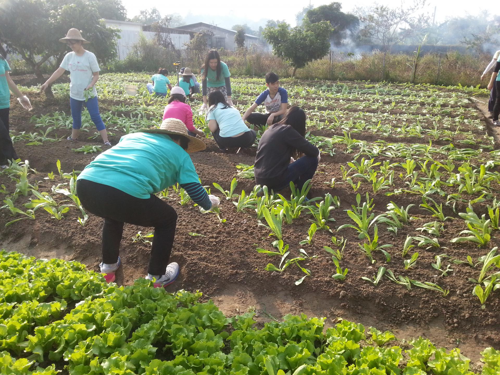 同行之友愛鄰社 2016年1月