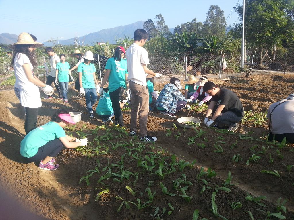 同行之友愛鄰社(二) 2014年10月