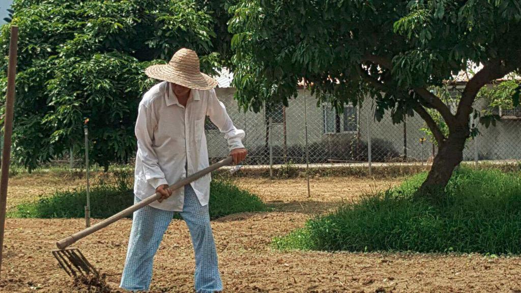 創建大同基金義工隊活動(一) -「綠色生活 - 農地體驗」 2016年8月