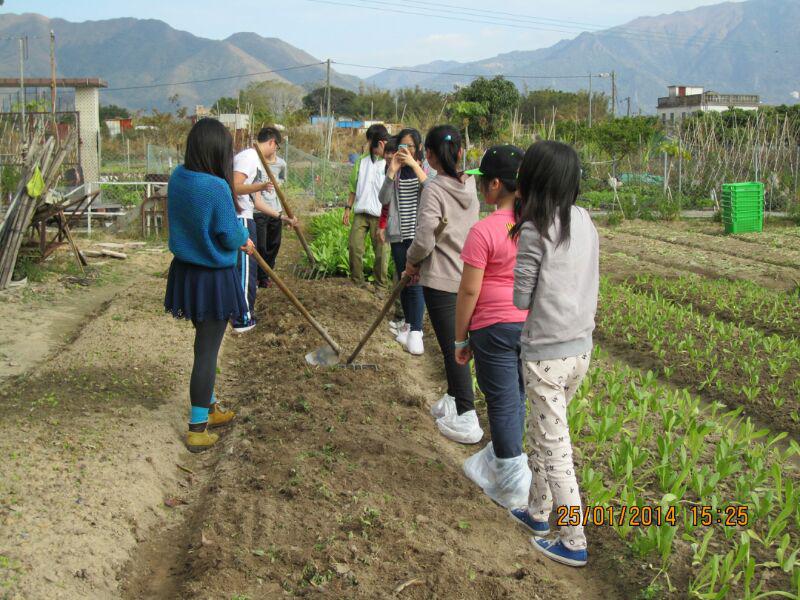 大埔恩全鄰社中心 2014年1月