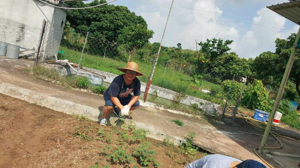 創建大同基金義工隊活動(一) -「綠色生活 - 農地體驗」 2016年8月