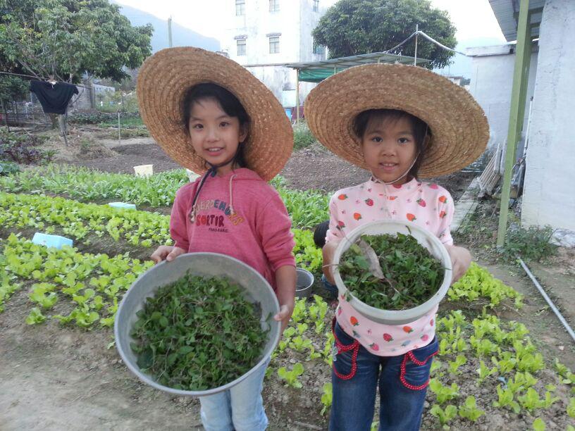 明愛德田青少年綜合服務中心 2014年1月