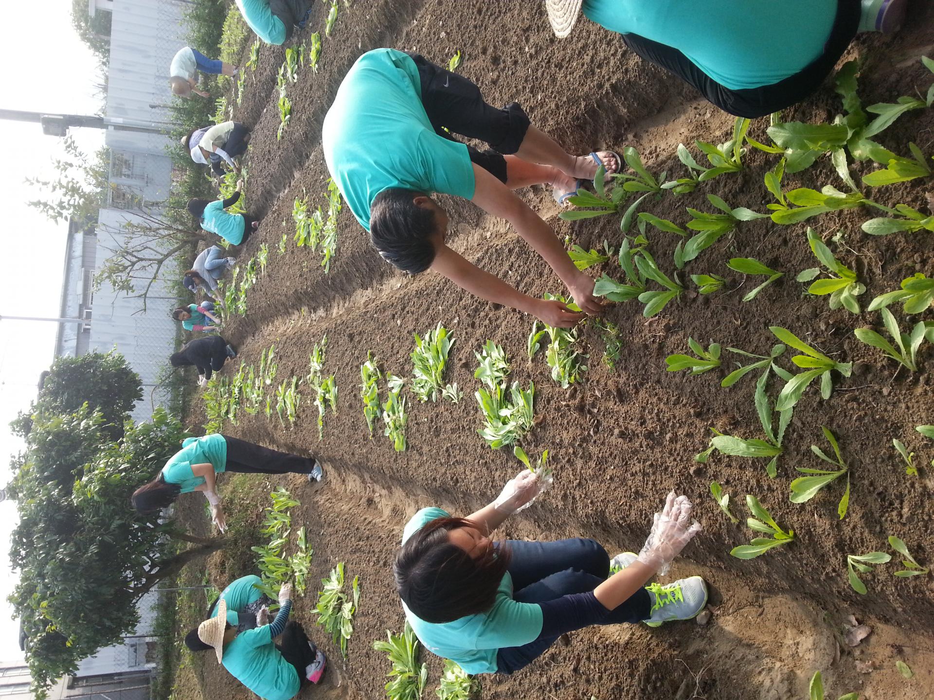 同行之友愛鄰社 2016年1月