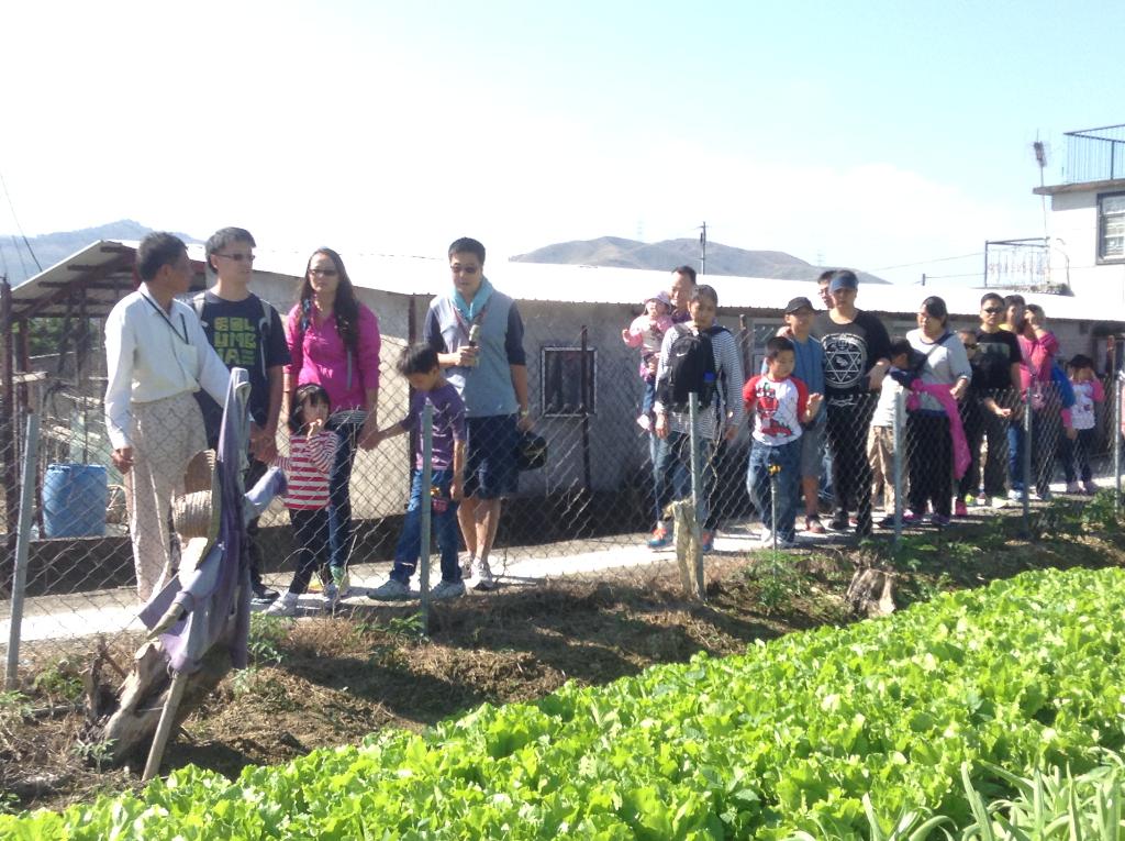 明愛德田青少年綜合服務中心 2014年11月