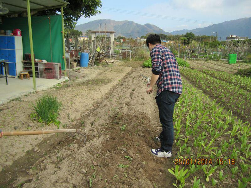大埔恩全鄰社中心 2014年1月