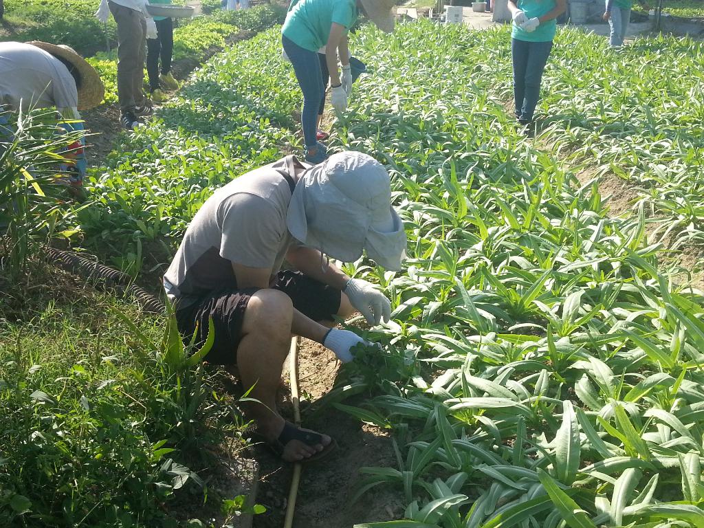 同行之友愛鄰社(二) 2014年10月