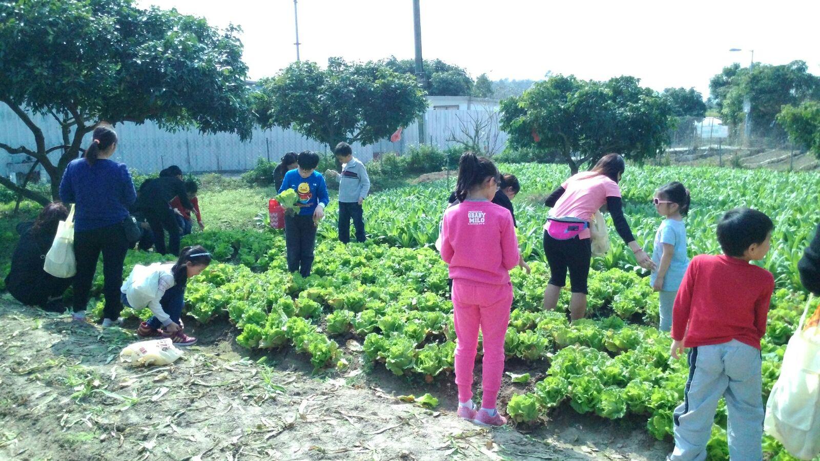 明愛德田青少年綜合服務中心 2016年2月