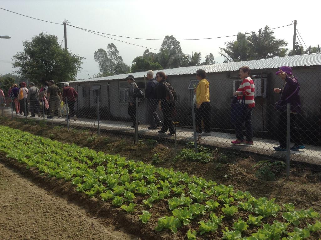 基督教家庭服務中心 2014年11月