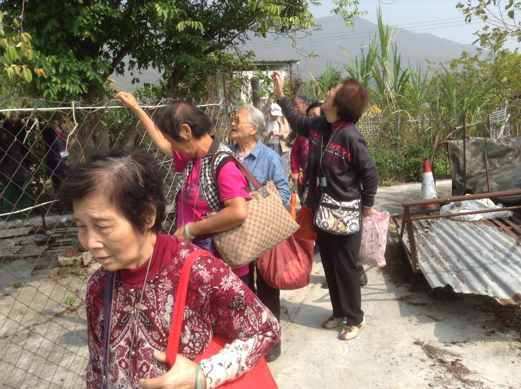 基督教家庭服務中心 2014年11月