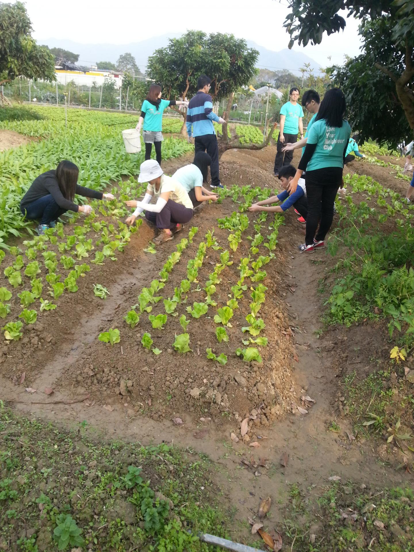 同行之友愛鄰社 2016年1月