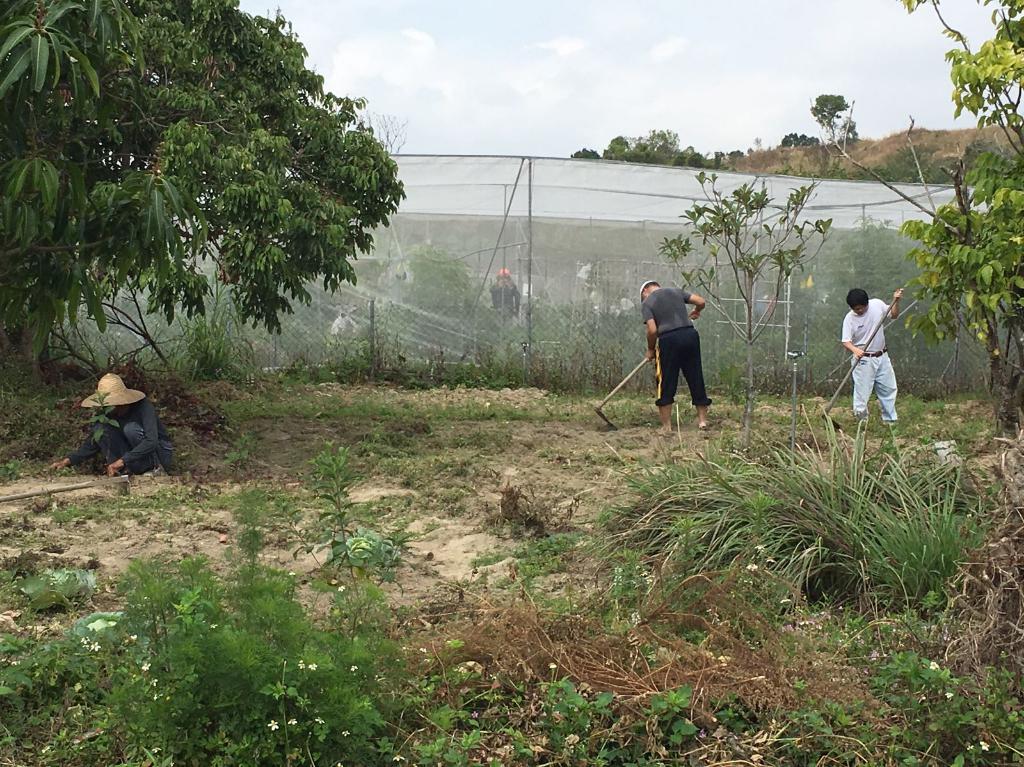 綠色生活 - 農地體驗 2018年3月