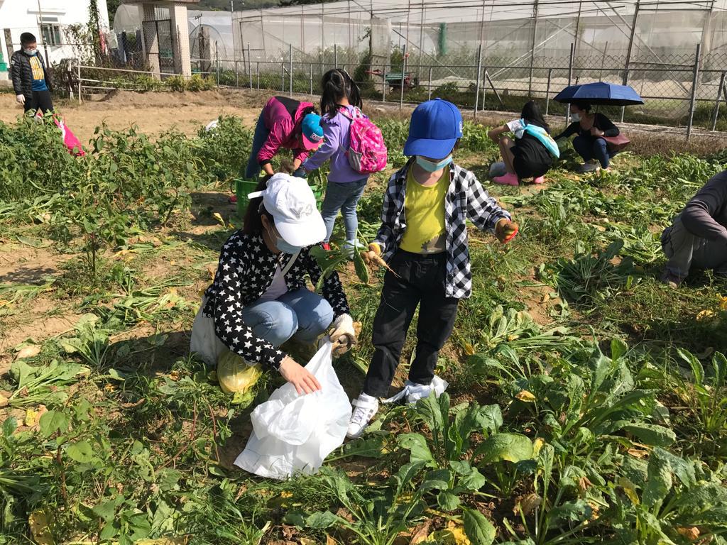 明愛德田參觀農場 2022年12月