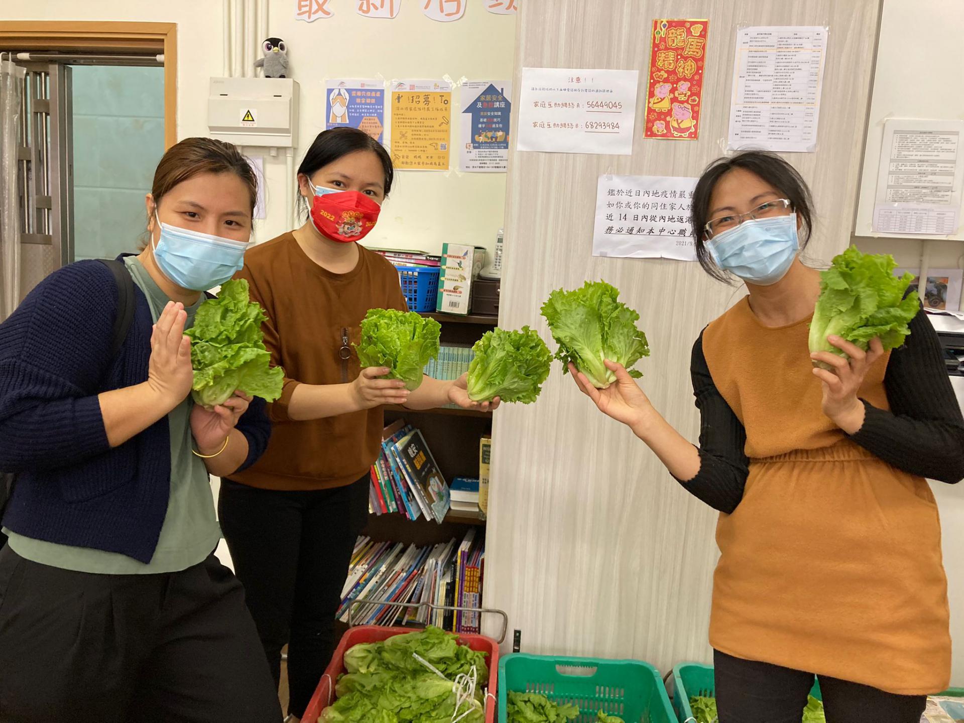 「耆樂綠融融」有機農場耕種及蔬菜捐贈