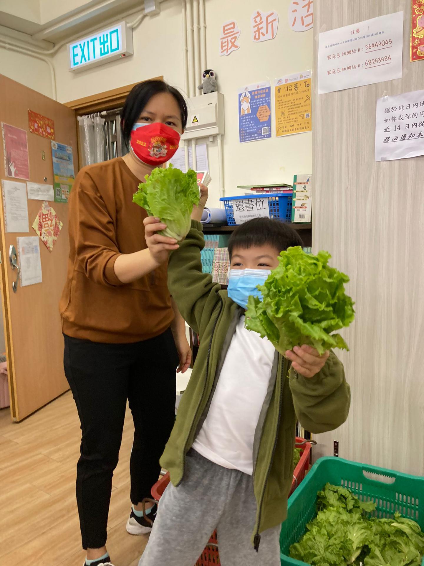 「耆樂綠融融」有機農場耕種及蔬菜捐贈