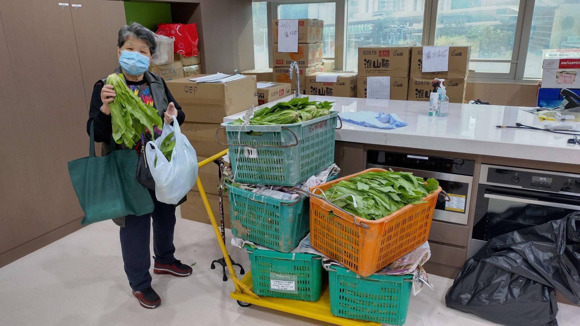 「耆樂綠融融」有機農場耕種及蔬菜捐贈