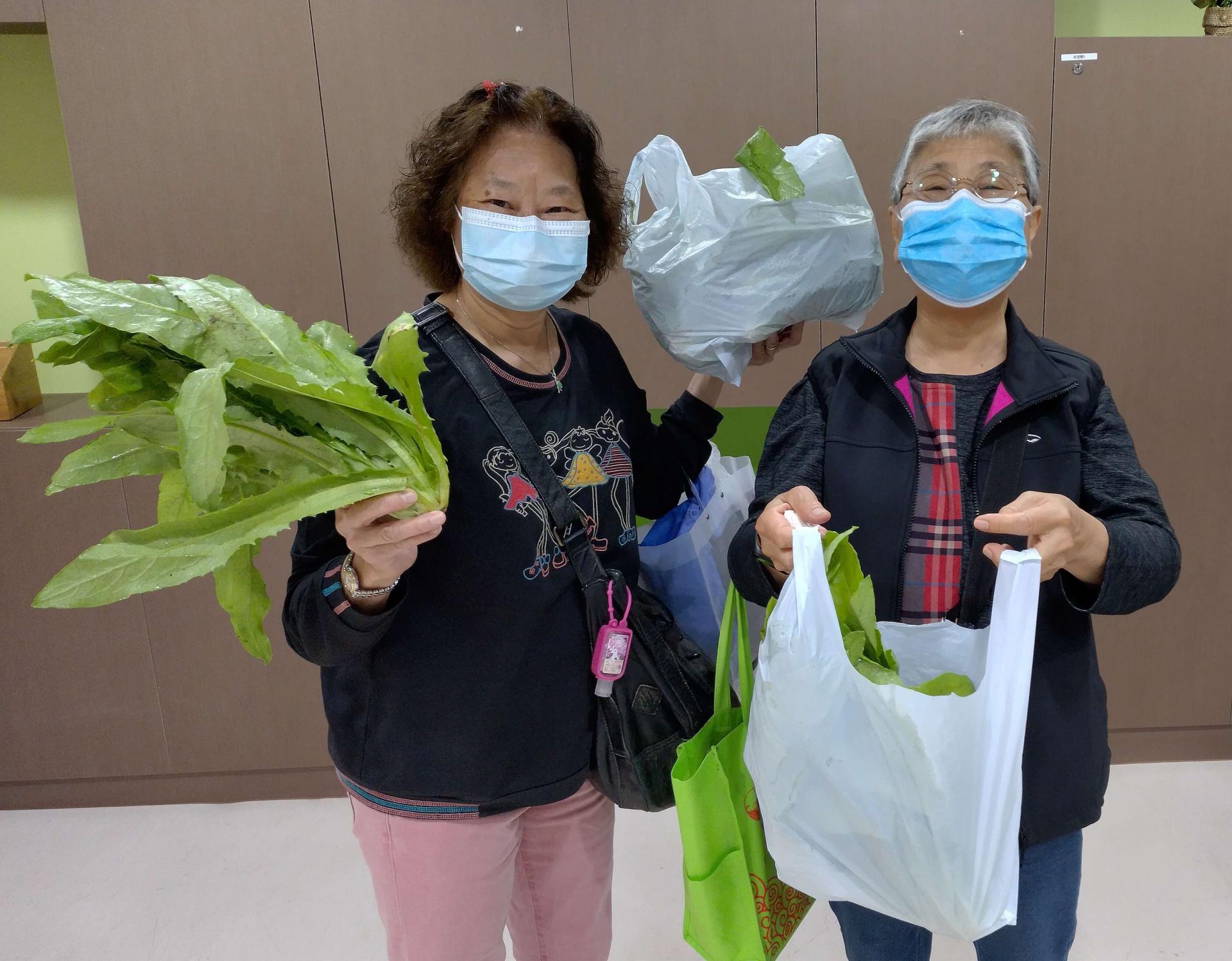 「耆樂綠融融」有機農場耕種及蔬菜捐贈