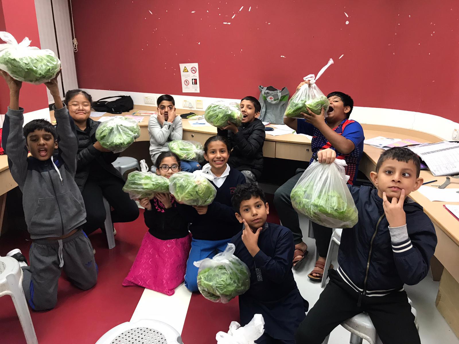 「耆樂綠融融」有機農場耕種及蔬菜捐贈