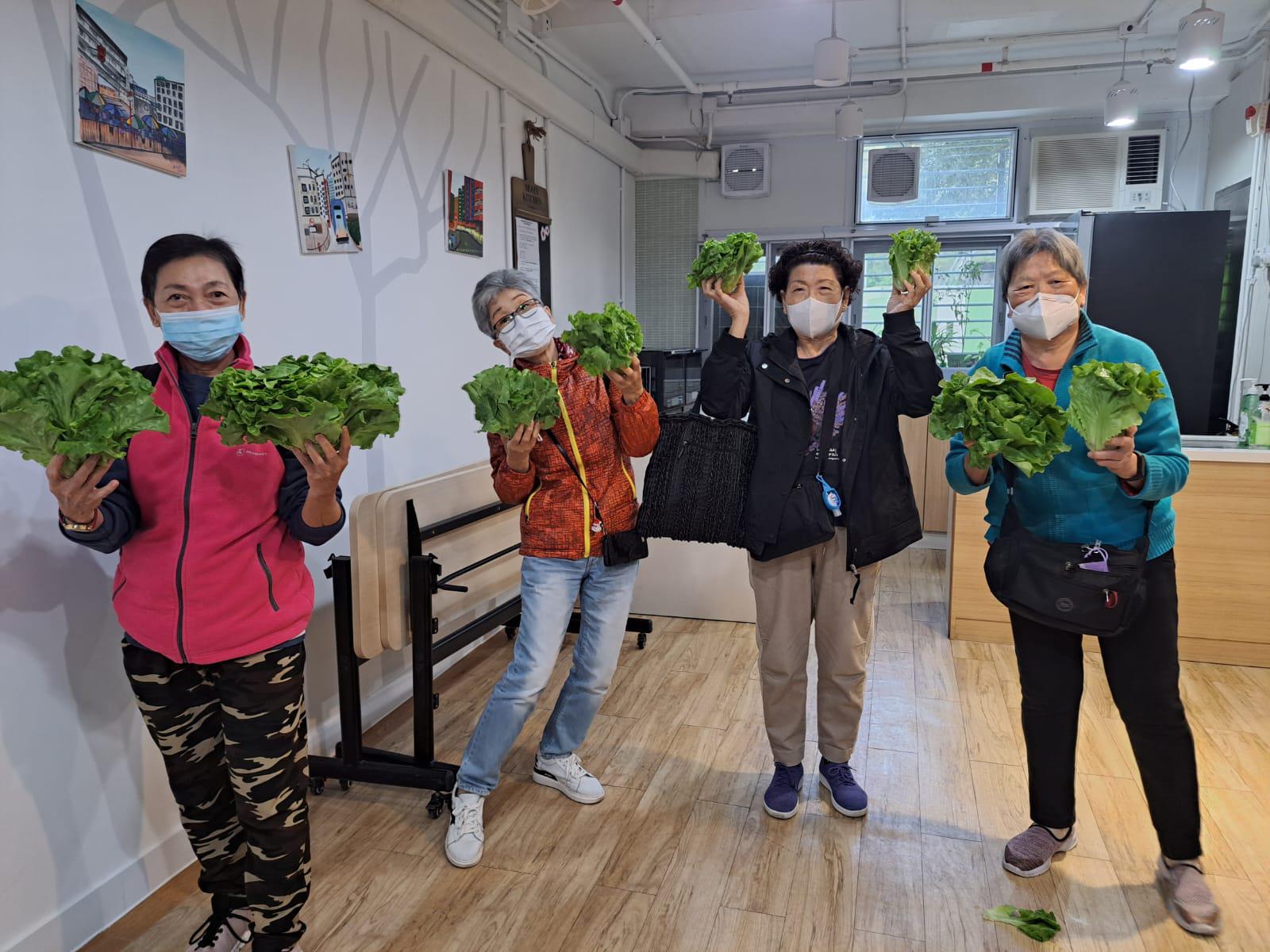 「耆樂綠融融」有機農場耕種及蔬菜捐贈