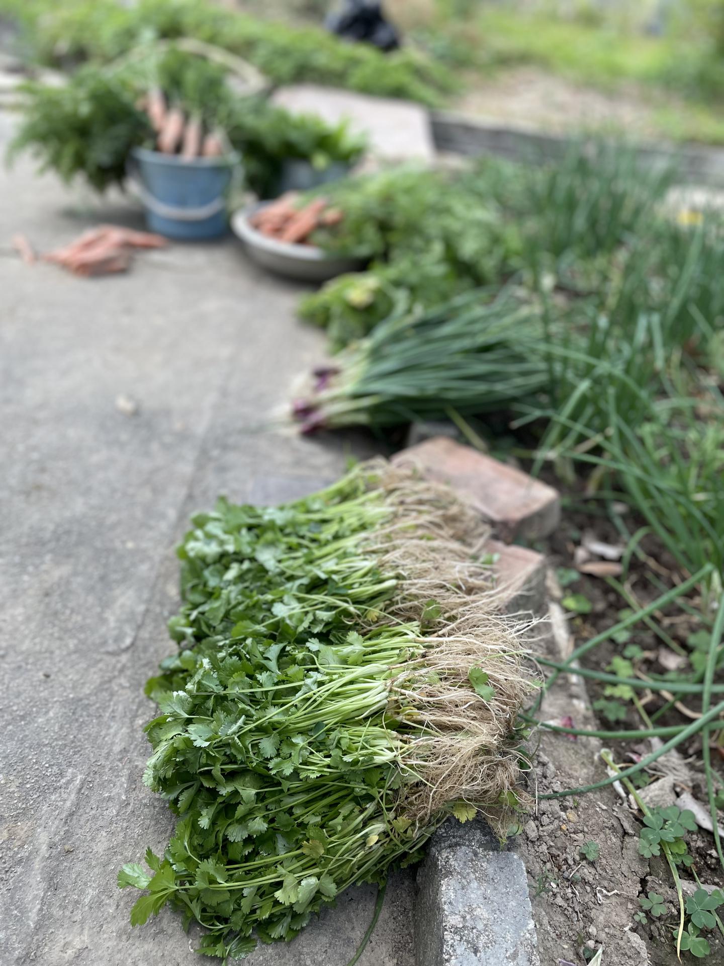 同事參觀農場 2023年2月