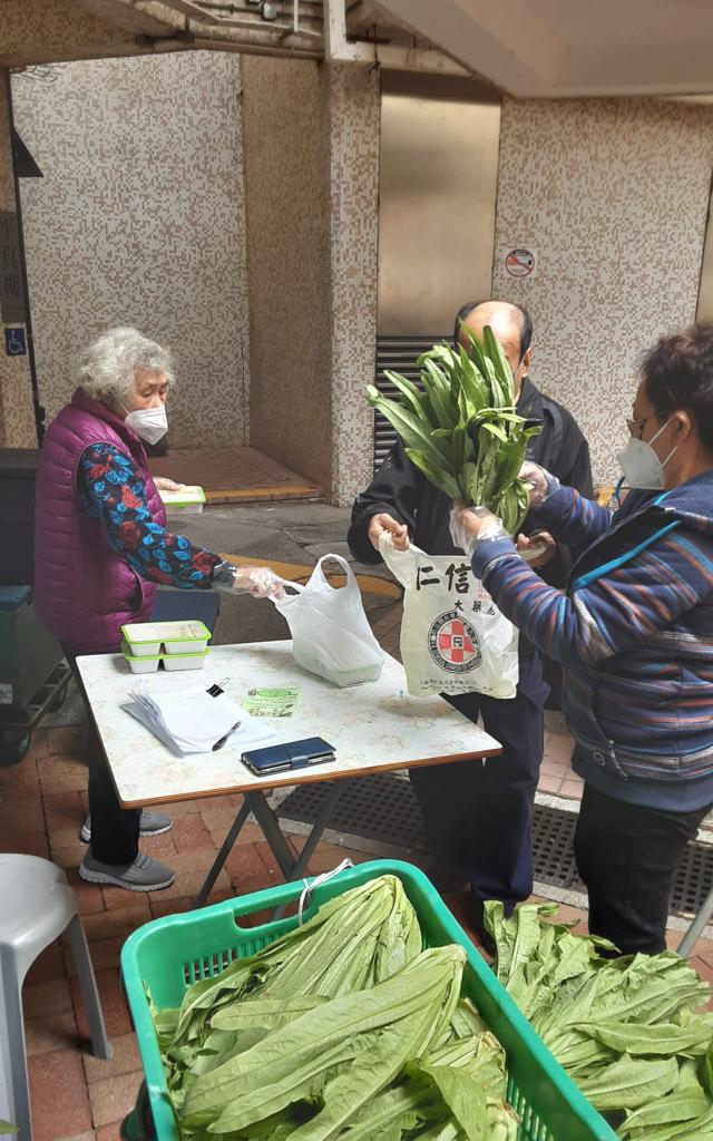 「耆樂綠融融」有機農場耕種及蔬菜捐贈