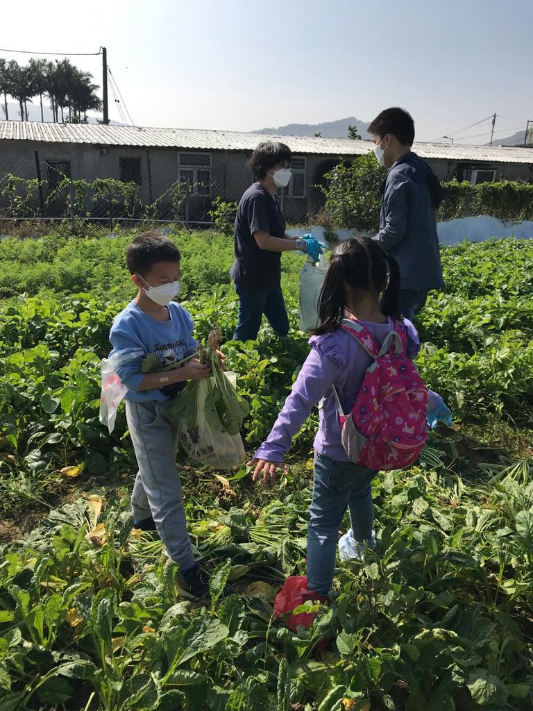 明愛德田參觀農場 2022年12月