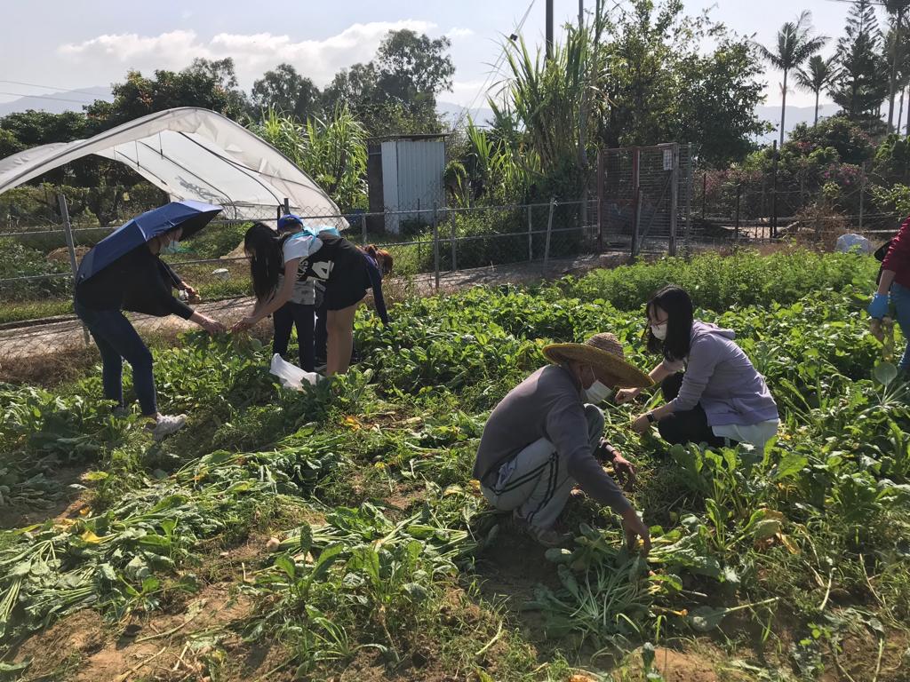 明愛德田參觀農場 2022年12月