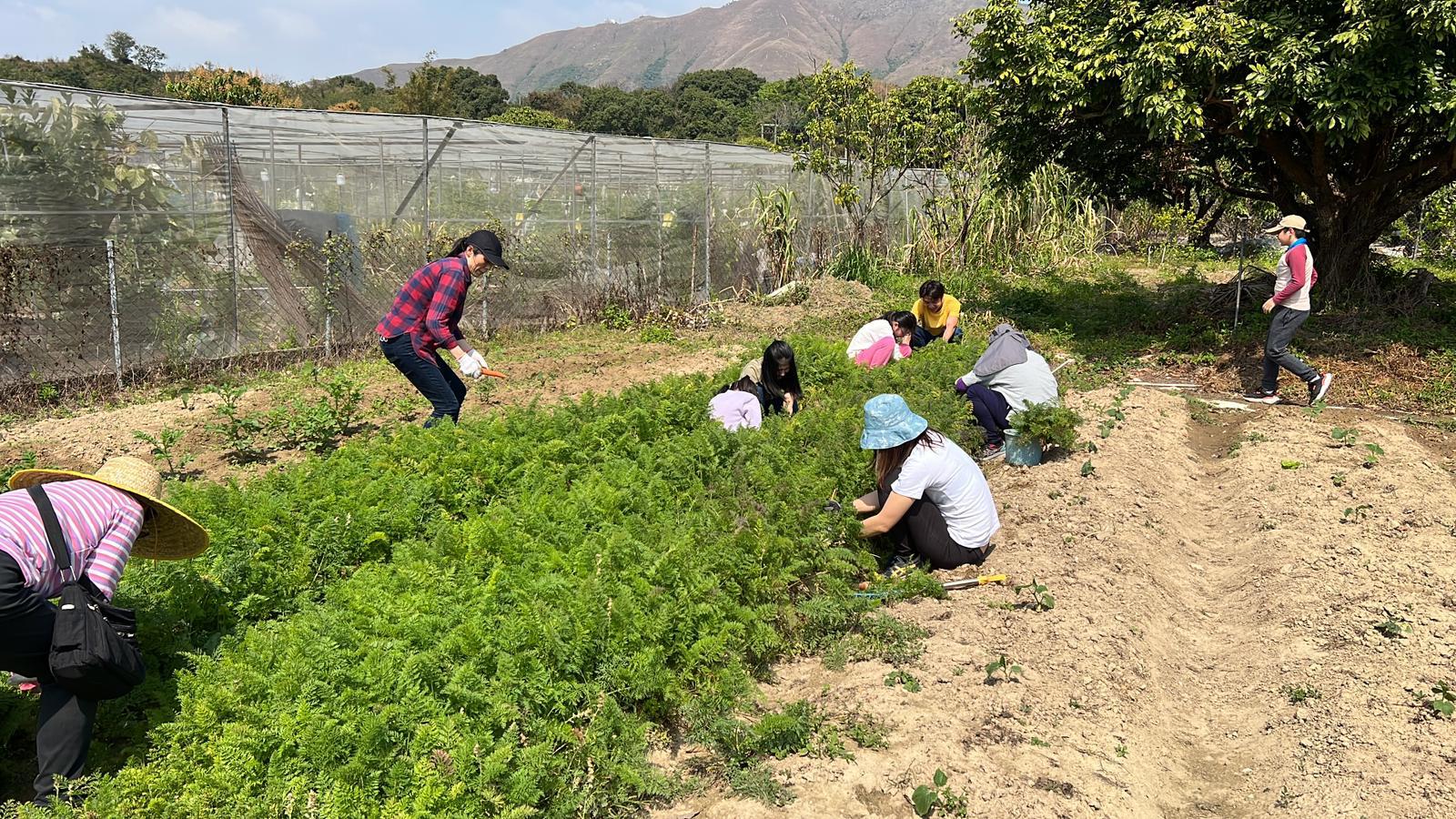同事參觀農場 2023年2月